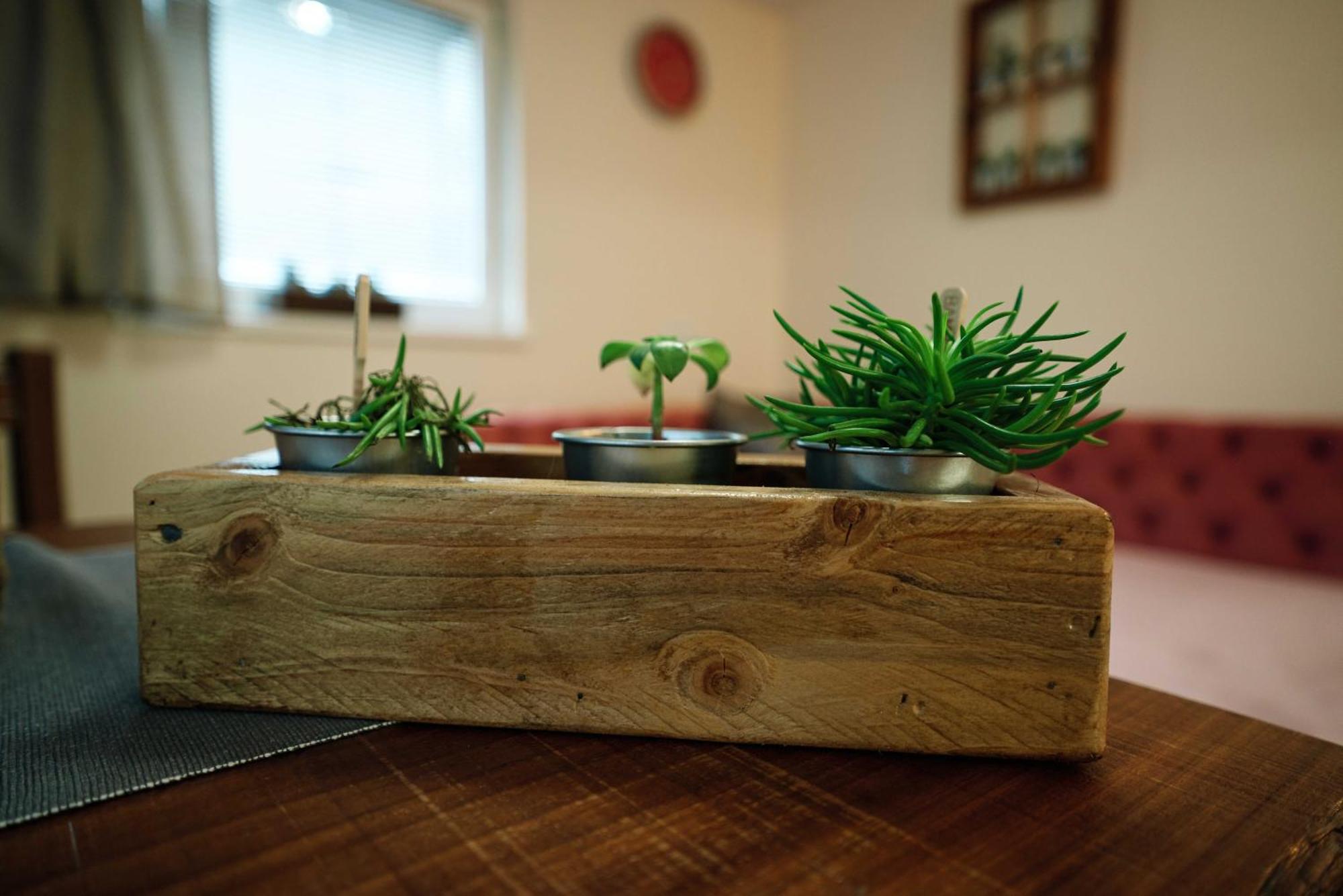 Apartment Hanny Laško Zewnętrze zdjęcie